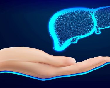 Signs Your Liver is Healing from Alcohol